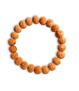 5 Mukhi Rudraksha Bracelet